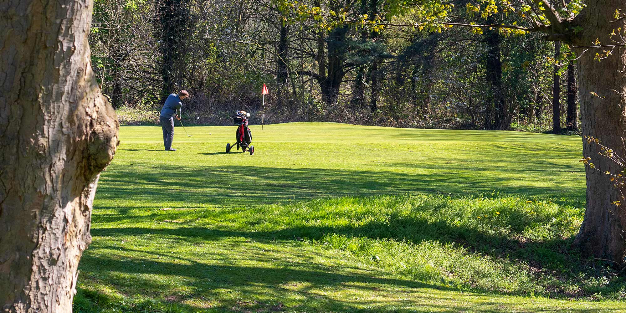 Golfer at Brackenwood Golf Club